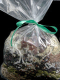 Hemp and Dried Grape Human Bird Seed (All Organic!)