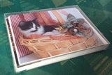 Christmas Kitties set of 6 Christmas cards